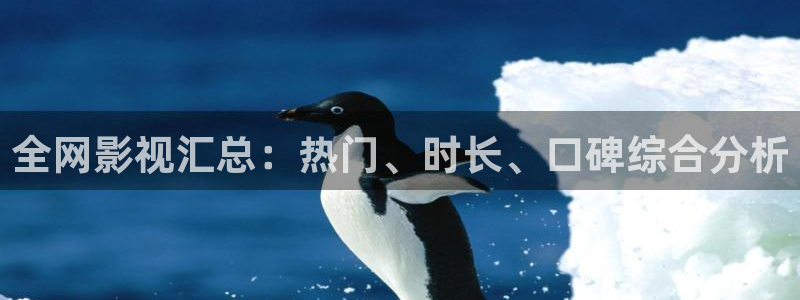 窝窝影视在线观看