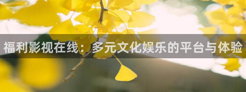 窝窝电影院