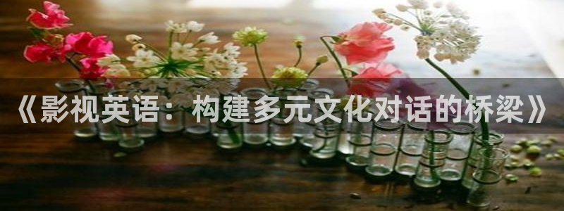 窝窝看电影网