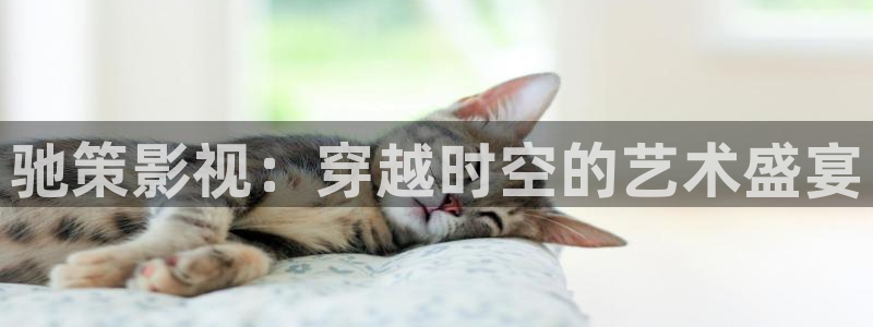 窝窝晚上看视频