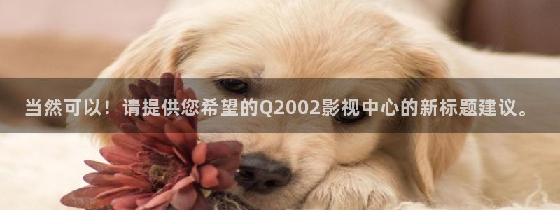 窝窝影院在线免费观看