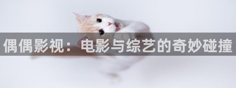 窝窝影院在线观看免费版电视剧妈