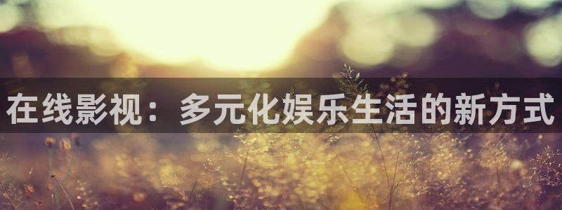 窝窝影视网电视剧