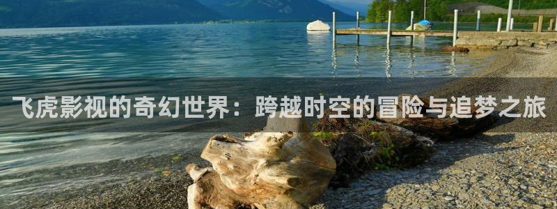 窝窝电视剧免费观看高清