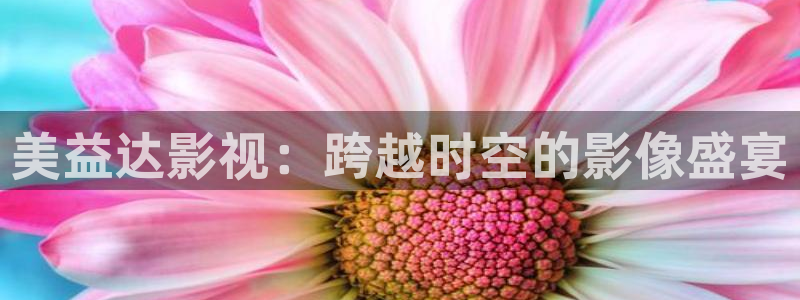 窝窝爱在线观看免费高清电视剧大全